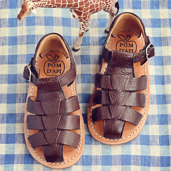 Pom d'Api Boys Dark Brown Sandal